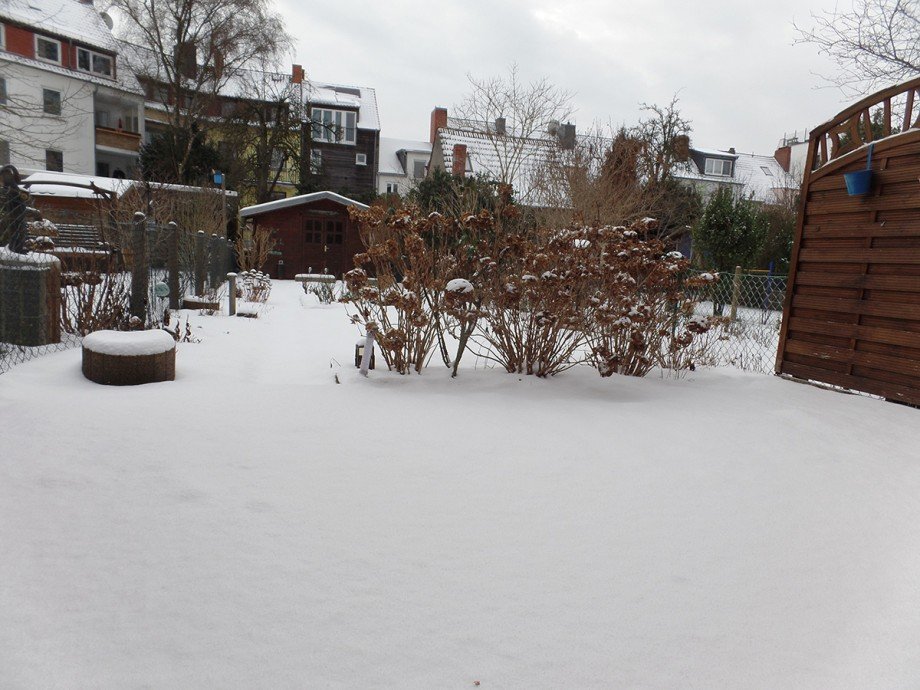 Garten / Terrasse Reihenmittelhaus Bremen