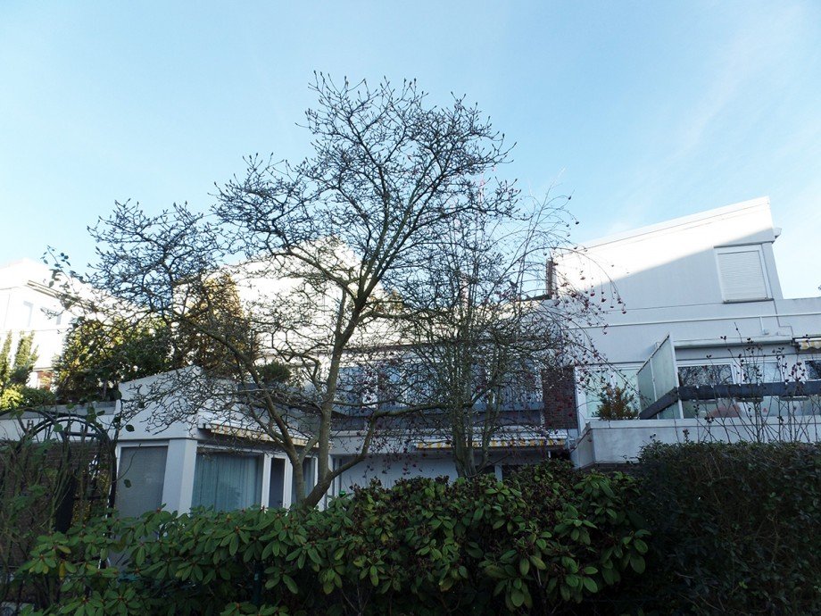 Hausansicht Terrassenwohnung Bremen